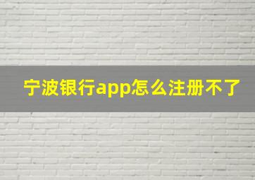 宁波银行app怎么注册不了