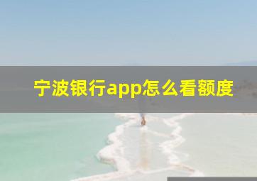 宁波银行app怎么看额度