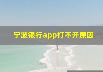 宁波银行app打不开原因