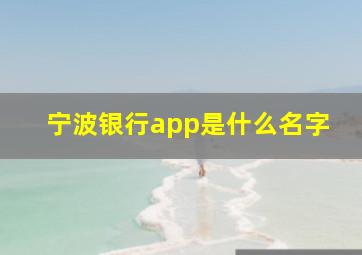 宁波银行app是什么名字