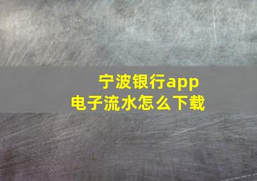 宁波银行app电子流水怎么下载