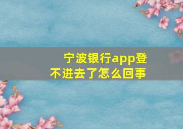 宁波银行app登不进去了怎么回事