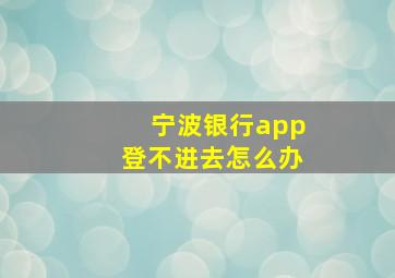 宁波银行app登不进去怎么办