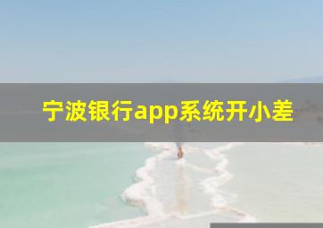 宁波银行app系统开小差