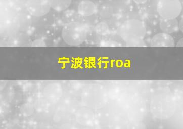 宁波银行roa