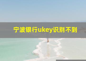 宁波银行ukey识别不到