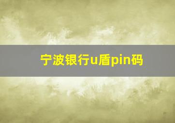 宁波银行u盾pin码