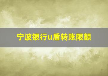 宁波银行u盾转账限额