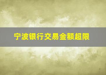 宁波银行交易金额超限