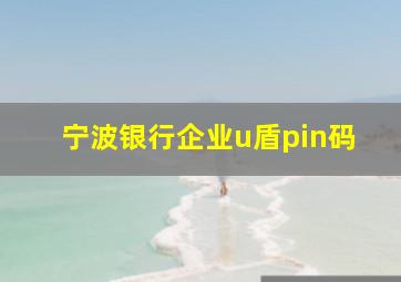 宁波银行企业u盾pin码