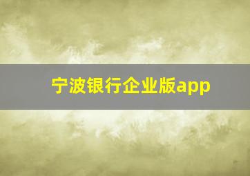 宁波银行企业版app