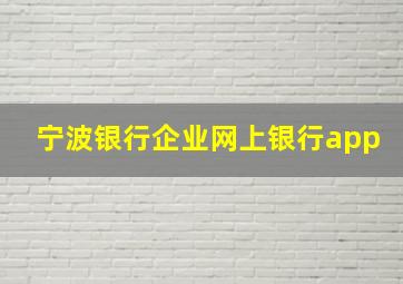 宁波银行企业网上银行app