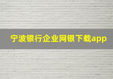 宁波银行企业网银下载app