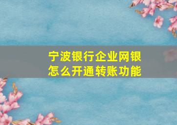 宁波银行企业网银怎么开通转账功能