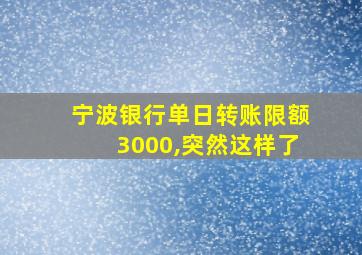 宁波银行单日转账限额3000,突然这样了