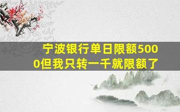 宁波银行单日限额5000但我只转一千就限额了