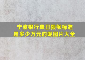 宁波银行单日限额标准是多少万元的呢图片大全