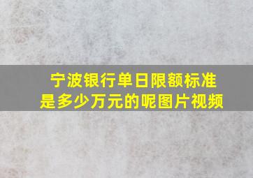 宁波银行单日限额标准是多少万元的呢图片视频