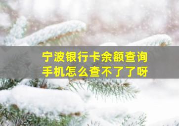 宁波银行卡余额查询手机怎么查不了了呀