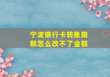 宁波银行卡转账限额怎么改不了金额