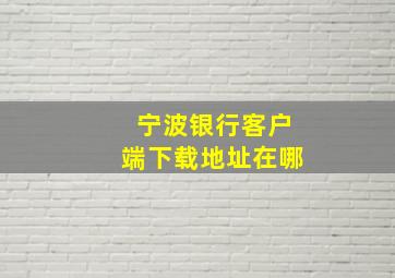 宁波银行客户端下载地址在哪