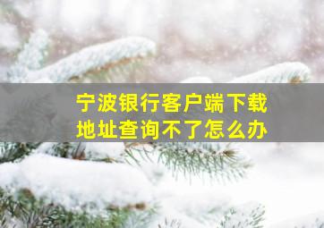 宁波银行客户端下载地址查询不了怎么办