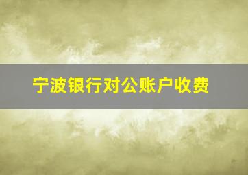 宁波银行对公账户收费