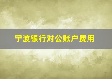 宁波银行对公账户费用