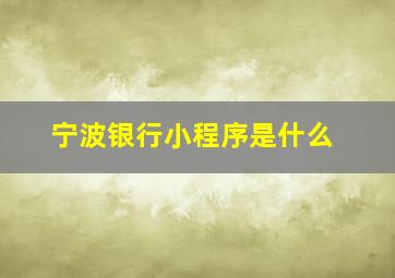 宁波银行小程序是什么