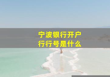 宁波银行开户行行号是什么