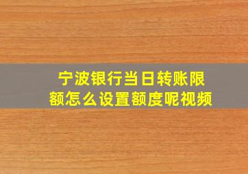 宁波银行当日转账限额怎么设置额度呢视频