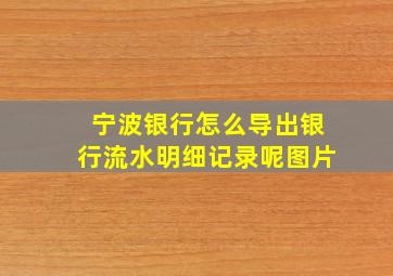 宁波银行怎么导出银行流水明细记录呢图片