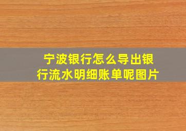 宁波银行怎么导出银行流水明细账单呢图片