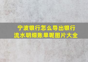 宁波银行怎么导出银行流水明细账单呢图片大全