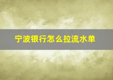 宁波银行怎么拉流水单