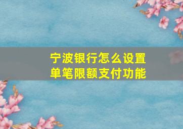 宁波银行怎么设置单笔限额支付功能