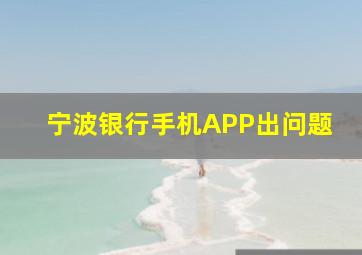 宁波银行手机APP出问题