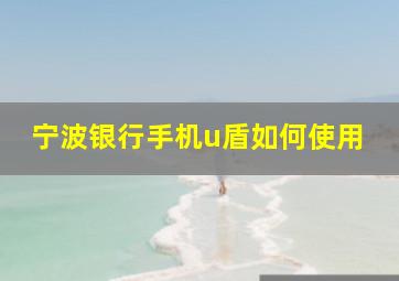 宁波银行手机u盾如何使用