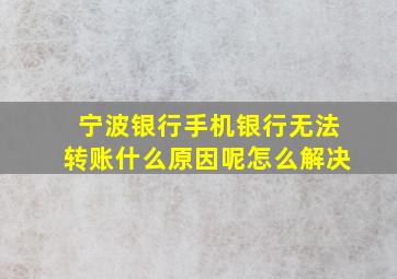 宁波银行手机银行无法转账什么原因呢怎么解决