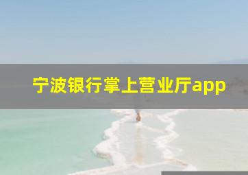 宁波银行掌上营业厅app