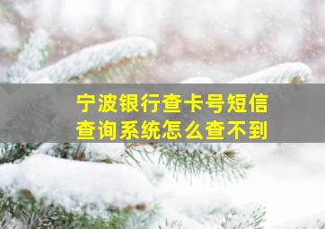 宁波银行查卡号短信查询系统怎么查不到