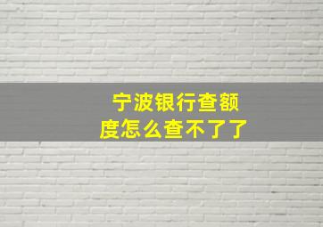 宁波银行查额度怎么查不了了