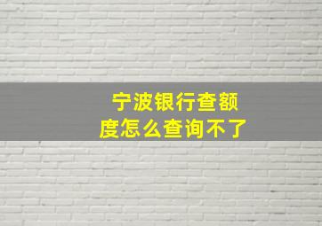 宁波银行查额度怎么查询不了