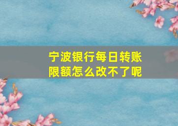 宁波银行每日转账限额怎么改不了呢