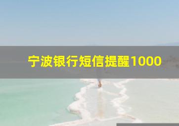 宁波银行短信提醒1000