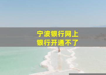 宁波银行网上银行开通不了