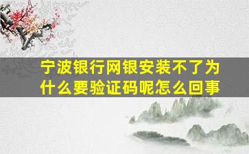 宁波银行网银安装不了为什么要验证码呢怎么回事