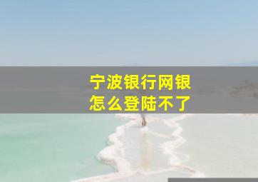 宁波银行网银怎么登陆不了