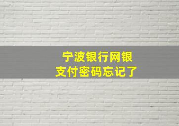 宁波银行网银支付密码忘记了