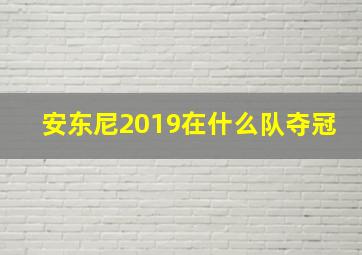 安东尼2019在什么队夺冠